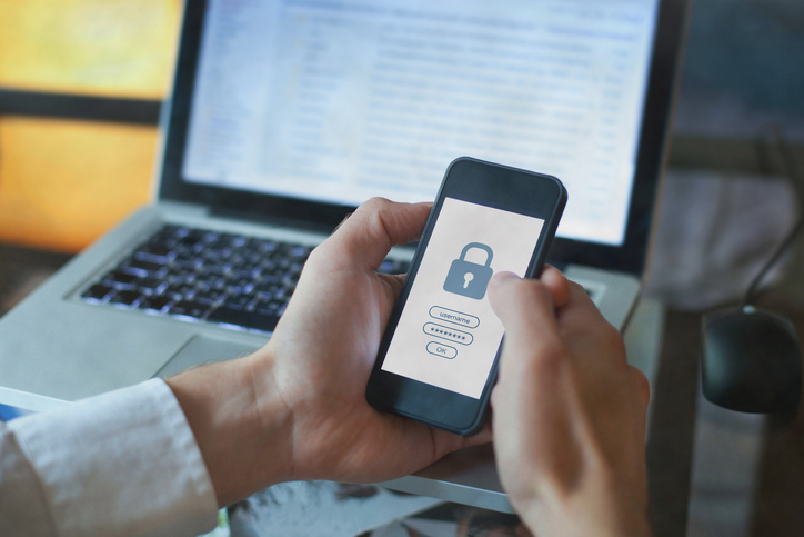 Cybersecurity, Digital ID & Online Fraud Industry Market Research