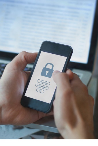 Cybersecurity, Digital ID & Online Fraud